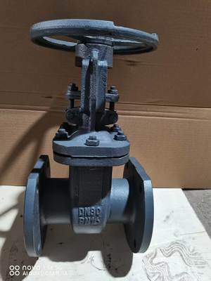 Stainless Steel Seat Cast Iron Gate Valve for Water Supply Engineered to Handle Water Medium Ensuring Leak Proof and Smooth Operation